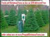 Christmas Trees Salt Lake City Image